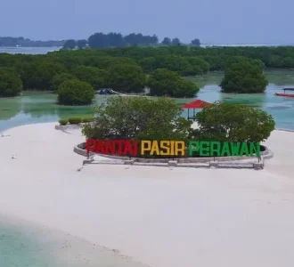 Pulau pari